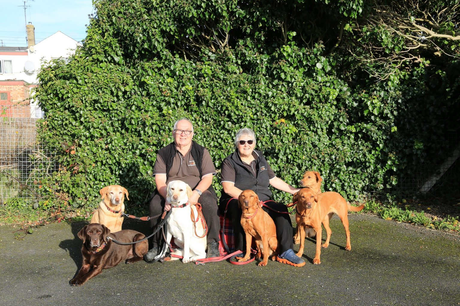 Meet the Team Lincs Dog Training Made Easy